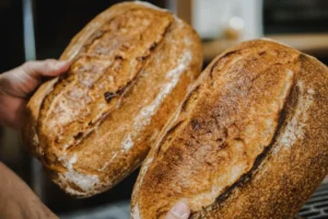 Proveedores horeca en Valencia